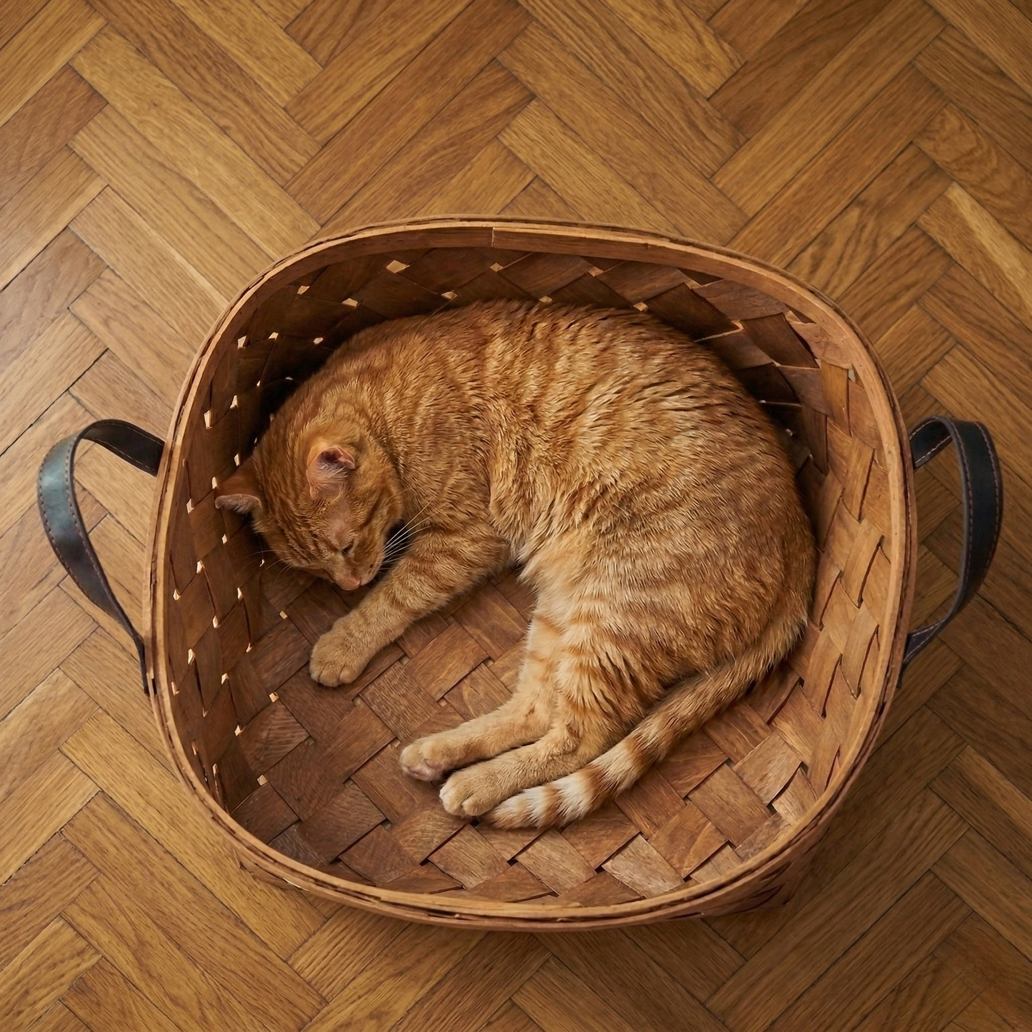 Cat Bed - All-Season Breathable Rattan Basket, Portable Indoor Pet Sofa Nest with Removable Pillow