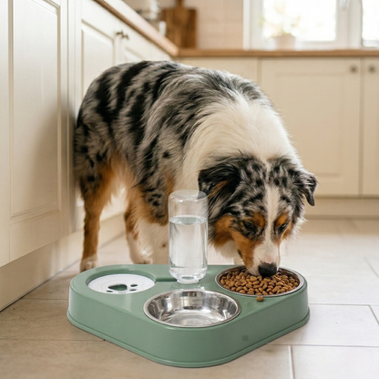 Dog Bowl - 3 in 1 Automatic Water Dispenser & Double Stainless Steel Feeder, Gravity Refill Bottle & Splash-Proof Station