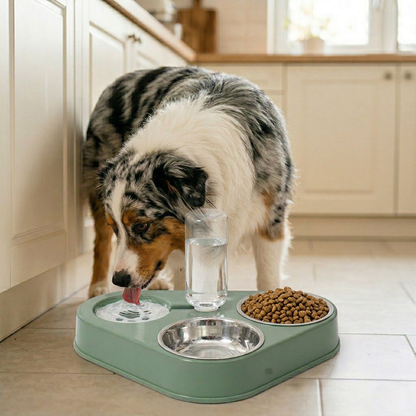Dog Bowl - 3 in 1 Automatic Water Dispenser & Double Stainless Steel Feeder, Gravity Refill Bottle & Splash-Proof Station