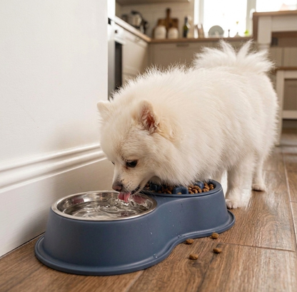 Dog Bowl - Double Pet Feeding Station with Detachable Metal Basin, Easy-to-Clean Non-Slip Base for Food & Water