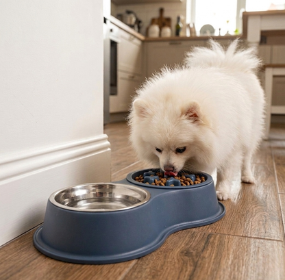 Dog Bowl - Double Pet Feeding Station with Detachable Metal Basin, Easy-to-Clean Non-Slip Base for Food & Water
